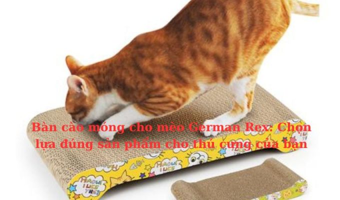 Bàn cào móng cho Mèo Foldex: Chọn lựa đúng sản phẩm cho thú cưng của bạn