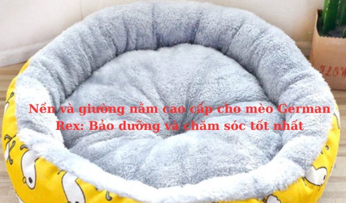 Nền và giường nằm cao cấp cho Mèo Foldex: Bảo dưỡng và chăm sóc tốt nhất